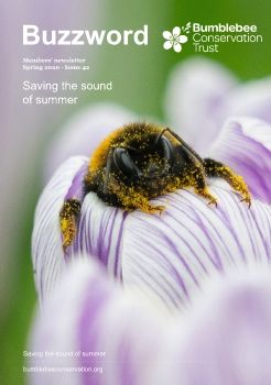 Bumblebee Conservation Trust Buzzword Magazine March 2020