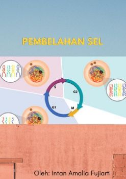 Pembelahan Mitosis