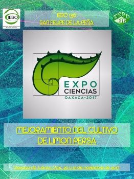 Expociencias-Presentación Fase Estatal 2017