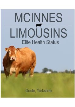 Mcinnes Limousins