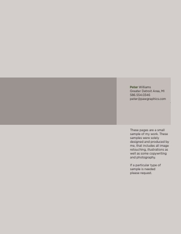 Peter Williams Portfolio