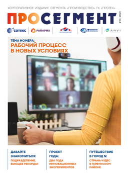 ПроСегмент 10