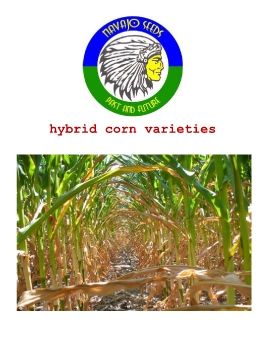 CORN LIST CATALOGUE_Neat
