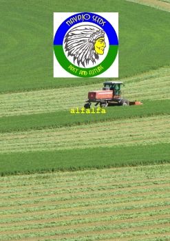 alfalfa LIST CATALOGUE_Neat