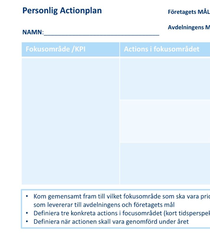 Personlig Actionplan 2017