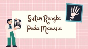Sistem Rangka Pada Manusia IPAS Kelas 6 Presentasi Pink Ilustratif