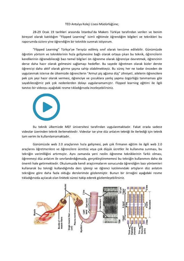 Flipped Learning Raporu