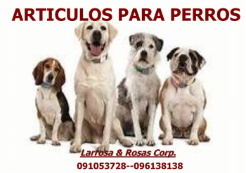 catalogo perros lista unica_Neat