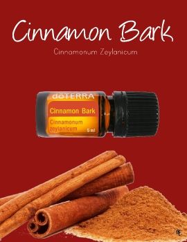 Cinnamon e-book