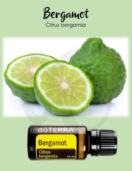 Bergamot e-book