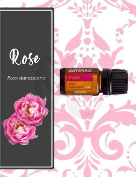 Rose e-book