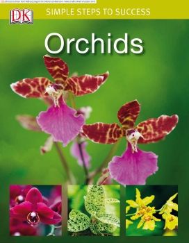 ORCHID-ANGGREK