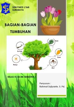 BAGIAN-BAGIAN TUMBUHAN