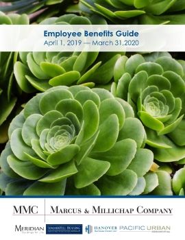 MMCS Benefit Guide 2019 FINAL