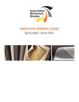 AMS Benefit Guide 6-2020