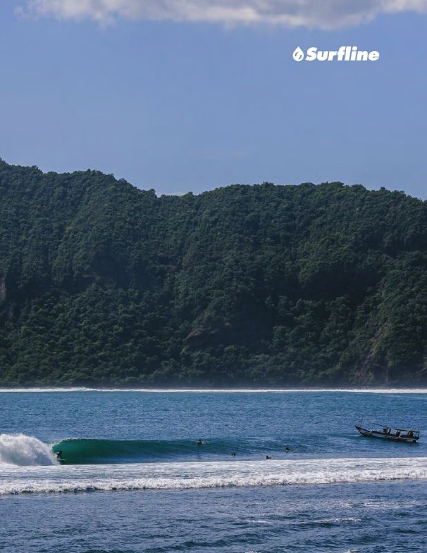 Surfline Benefits Guide National 2017 