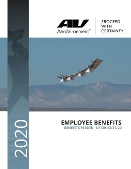 AeroVironment Ben Guide 2020