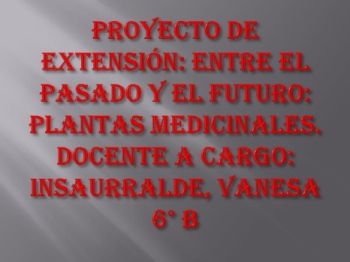 Proyecto de extensión plantas medicinales_Neat