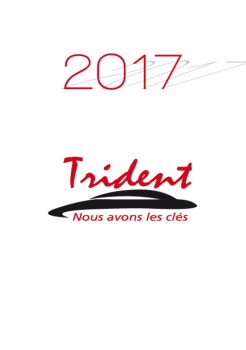 Carte de Voeux Trident 2017