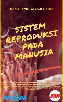E-Modul