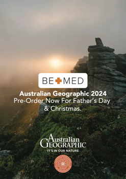 Fathers Day & Christmas BEMED CATALOGUE