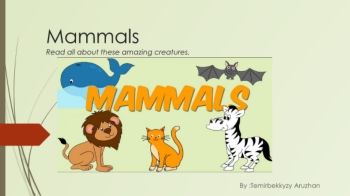 Mammals 2_Neat