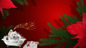 Bonnies christmas song book