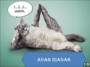 RIADAH
