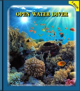 Open water diver 