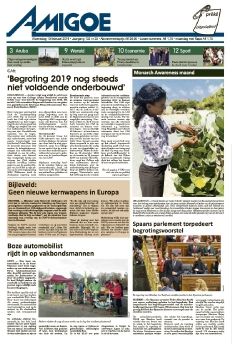 amigoe feb 13 2019