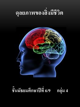 กลุ่มที่ 4 ดุลยภาพของสื่งมีฃีวิต