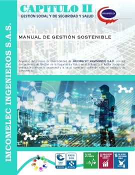 MANUAL DE GESTIÓN DE SEGURIDAD Y SALUD EN EL TRABAJO IMC 2020