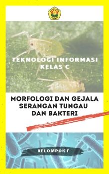 eBook Morfologi dan Gejala Serangan Tungau dan Bakteri