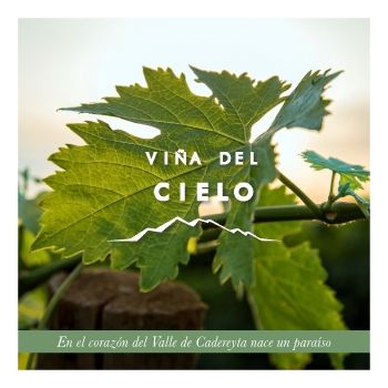 VIÑA DEL CIELO SALES KIT