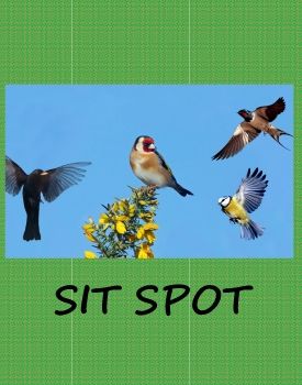 C:\Users\Lakhbir Kaur\Desktop\Jeanie Project\FlipBook\Sit Spot\