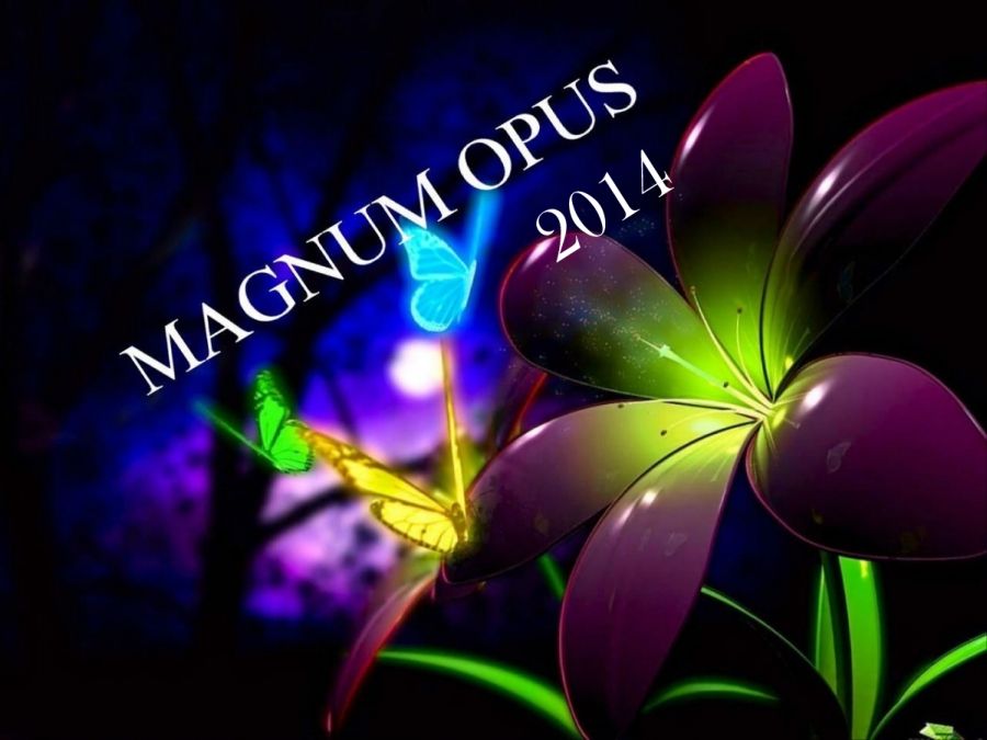 magnum opus 2014_Neat