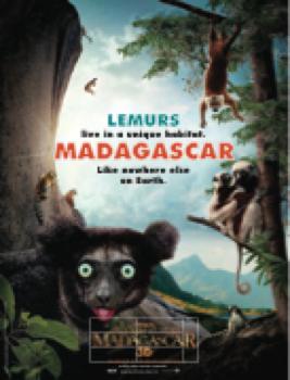 The amazing madagascar