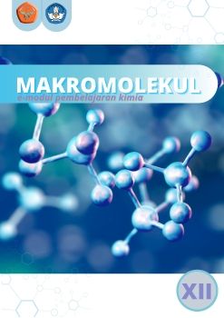 E-Modul Makromolekul (PUTRI MAYANG SARI)