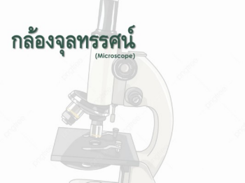 งานนำเสนอ PowerPoint