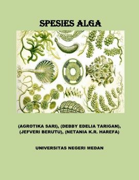 RAGAM SPESIES ALGA KELOMPOK 4