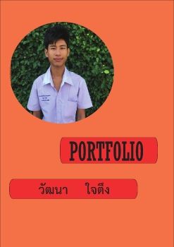 PORTFOLIO-1 (1)