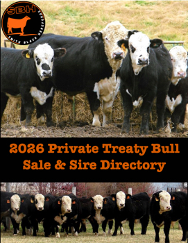 2026 Smith Black Herefords Bull Sale Catalog
