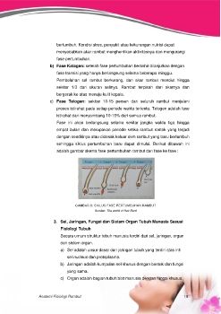 ANATOMI FISIOLOGI TUBUH