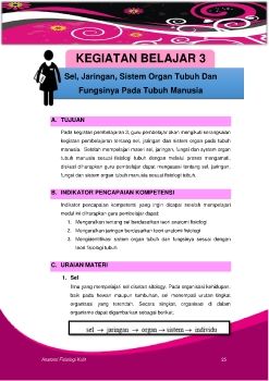 KCK-B. Anatomi Fisiologi Kulit