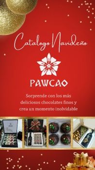 Catálogo Navideño PAWCAO 2025