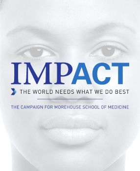 MSM IMPACT CAMPAIGN BROCHURE - Website