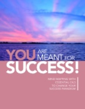 You are Meant for Success Final