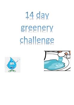 9 นำโชค 14day greenery challange