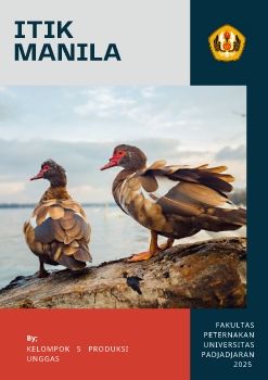 EBOOK PATU_KELOMPOK 5