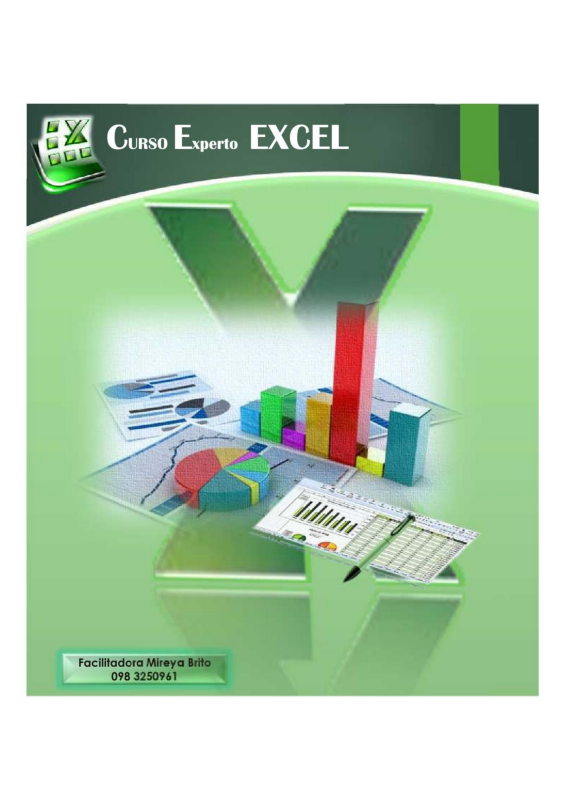 Propuesta Excel Experto